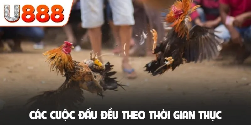 Các cuộc đấu đều theo thời gian thực