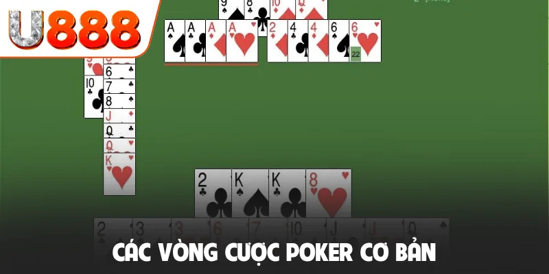 Các vòng cược Poker cơ bản