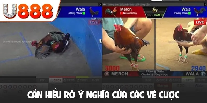 Cần hiểu rõ ý nghĩa của các vé cược