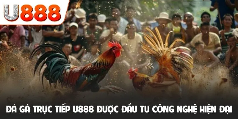 Đá gà trực tiếp U888 được đầu tư công nghệ hiện đại