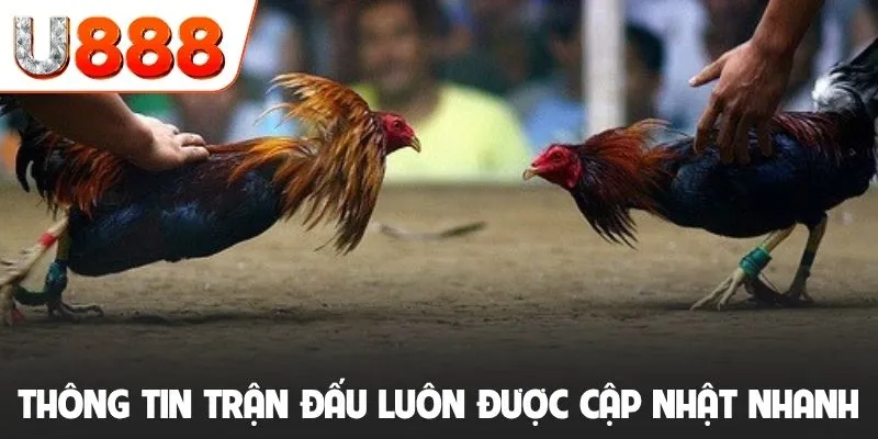 Thông tin trận đấu luôn được cập nhật nhanh